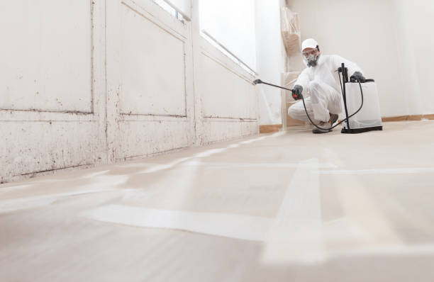 Post-remediation clearance in Palm Harbor